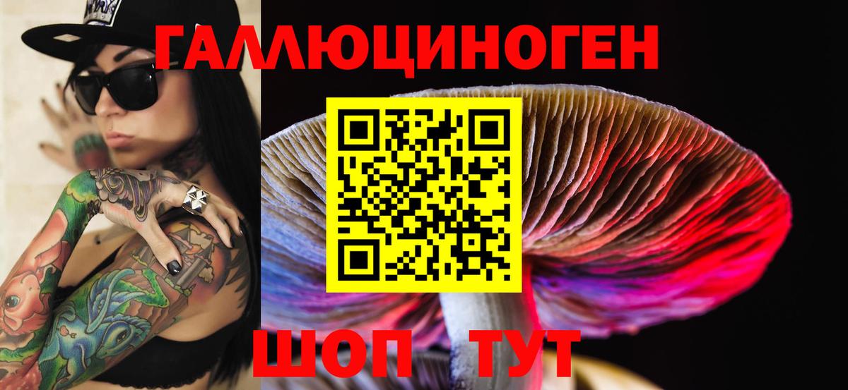 Дзержинский  дарнет шоп  Вход с VPN  Псилоцибиновые грибы Psilocybe 